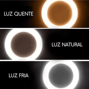 Ring Light De Mesa Iluminador De Led Tripé 6 Polegadas com Suporte Celular